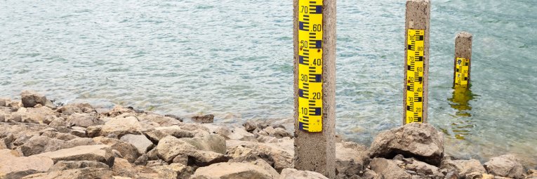 A pole used on beaches to measure the height of the water