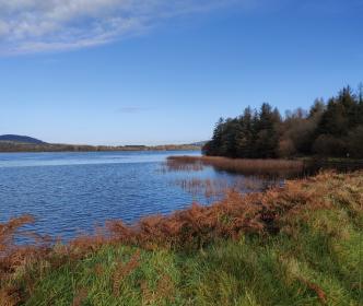 View of the abstraction point 