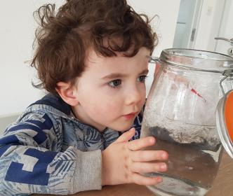 A boy looking at a jar of water he is holding